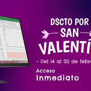 Programación, costos, presupuestos, valorizaciones y liquidaciones de obras