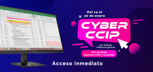 Programación, costos, presupuestos, valorizaciones y liquidaciones de obras