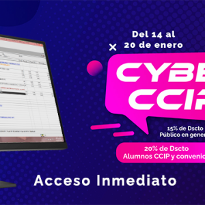 Costos, Presupuestos y Programación de Obras con S10 Y MS PROJECT