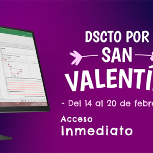 Programación, metrados, costos, presupuestos, valorizaciones y liquidaciones de obras