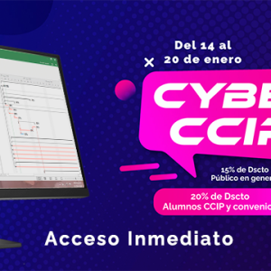 Programación, metrados, costos, presupuestos, valorizaciones y liquidaciones de obras