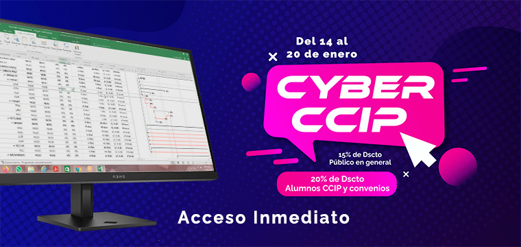 Programación, metrados, costos, presupuestos, valorizaciones y liquidaciones de obras