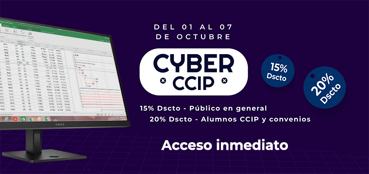 Programación, metrados, costos, presupuestos, valorizaciones y liquidaciones de obras