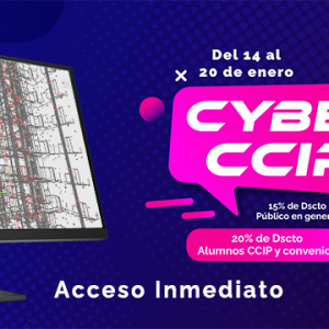 Modelado y Coordinación de Proyectos con la Metodología BIM