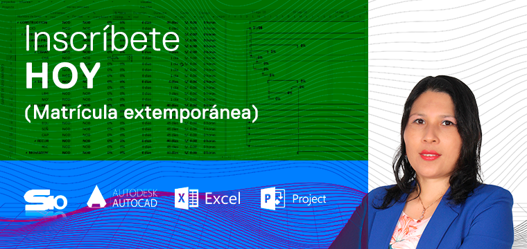 Programación, metrados, costos, presupuestos, valorizaciones y liquidaciones de obras