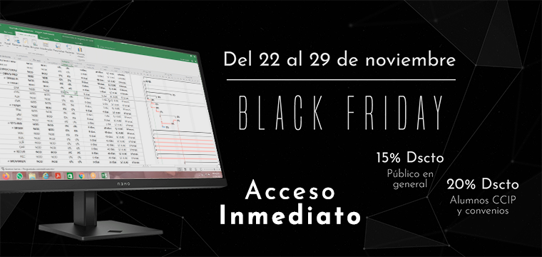 Programación, costos, presupuestos, valorizaciones y liquidaciones de obras