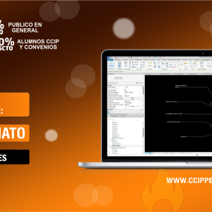 Curso Modelado con Revit Estructuras