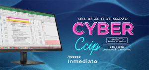 Programación, costos, presupuestos, valorizaciones y liquidaciones de obras