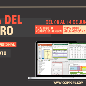 Programación, metrados, costos, presupuestos, valorizaciones y liquidaciones de obras