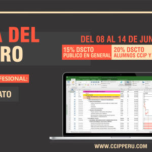 Programación, costos, presupuestos, valorizaciones y liquidaciones de obras
