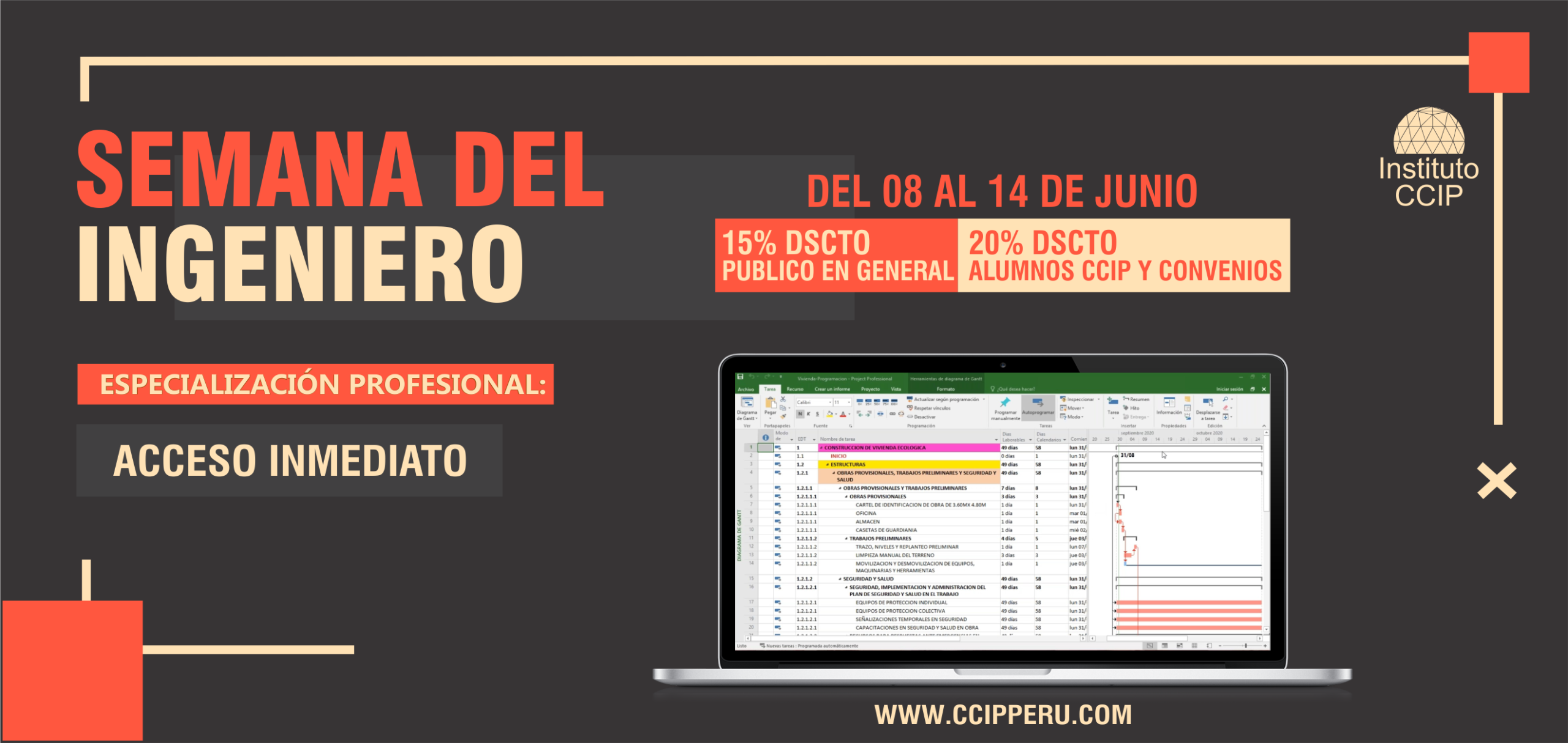 Programación, costos, presupuestos, valorizaciones y liquidaciones de obras