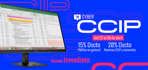 Programación, costos, presupuestos, valorizaciones y liquidaciones de obras