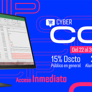 Programación, costos, presupuestos, valorizaciones y liquidaciones de obras