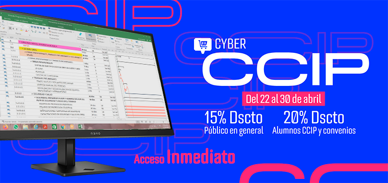 Programación, costos, presupuestos, valorizaciones y liquidaciones de obras