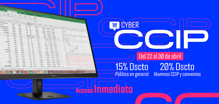 Programación, metrados, costos, presupuestos, valorizaciones y liquidaciones de obras