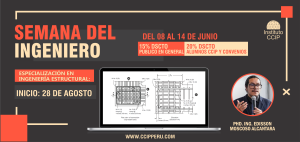 Edificaciones de Concreto Armado: Fundamentos y Aplicación en la Estructuración y Diseño Sismorresistente