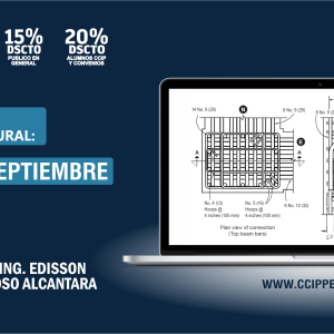 Edificaciones de Concreto Armado: Fundamentos y Aplicación en la Estructuración y Diseño Sismorresistente