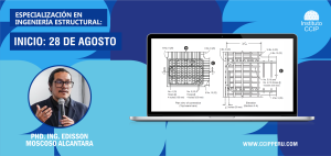 Edificaciones de Concreto Armado: Fundamentos y Aplicación en la Estructuración y Diseño Sismorresistente