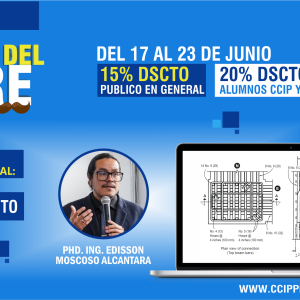 Edificaciones de Concreto Armado: Fundamentos y Aplicación en la Estructuración y Diseño Sismorresistente
