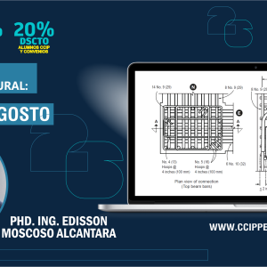 Edificaciones de Concreto Armado: Fundamentos y Aplicación en la Estructuración y Diseño Sismorresistente