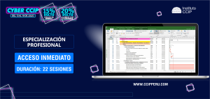 Programación, costos, presupuestos, valorizaciones y liquidaciones de obras