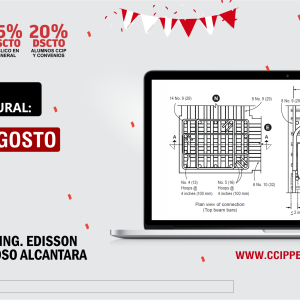 Edificaciones de Concreto Armado: Fundamentos y Aplicación en la Estructuración y Diseño Sismorresistente