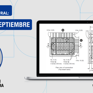 Edificaciones de Concreto Armado: Fundamentos y Aplicación en la Estructuración y Diseño Sismorresistente