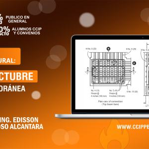 Edificaciones de Concreto Armado: Fundamentos y Aplicación en la Estructuración y Diseño Sismorresistente
