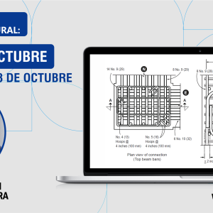 Edificaciones de Concreto Armado: Fundamentos y Aplicación en la Estructuración y Diseño Sismorresistente