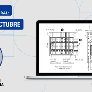 Edificaciones de Concreto Armado: Fundamentos y Aplicación en la Estructuración y Diseño Sismorresistente